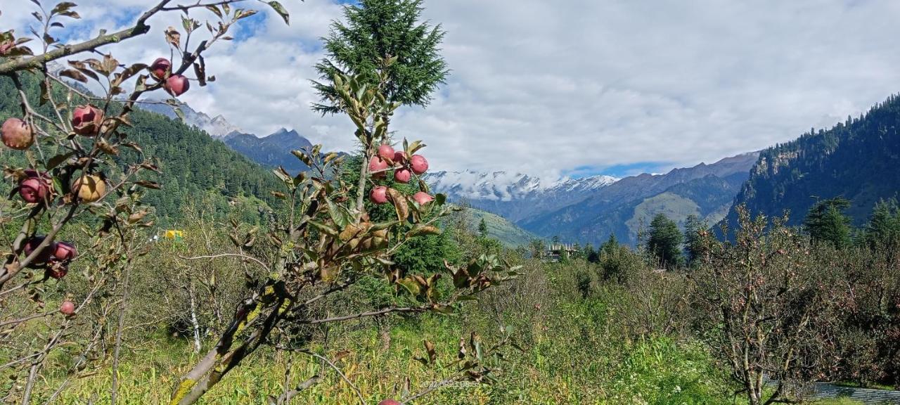 Apple Flower With Balcony And Mountain View Manāli Exteriör bild