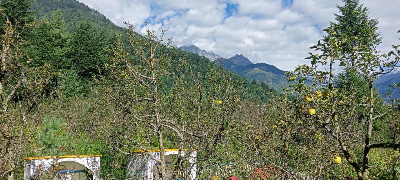 Apple Flower With Balcony And Mountain View Manāli Exteriör bild